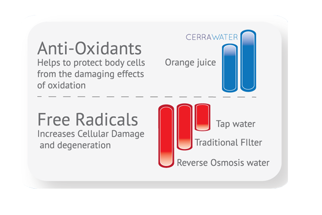 Anti-Oxidant Chart